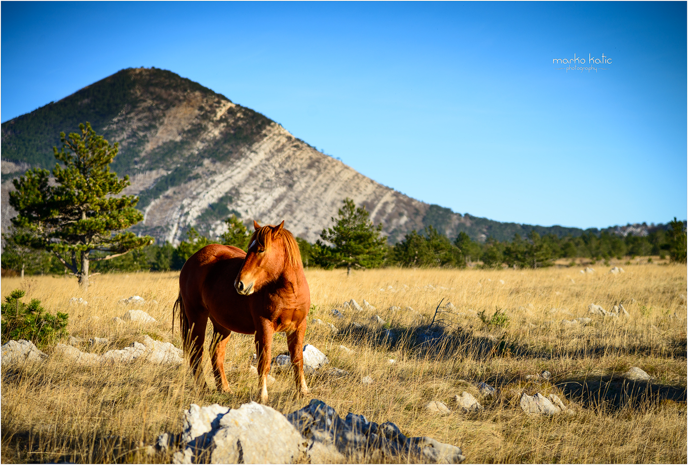 Velebit mountains